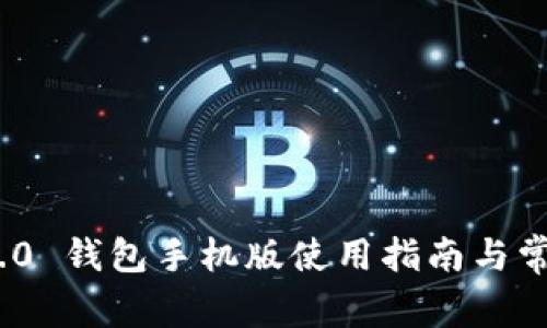 imToken 2.0 钱包手机版使用指南与常见问题解答