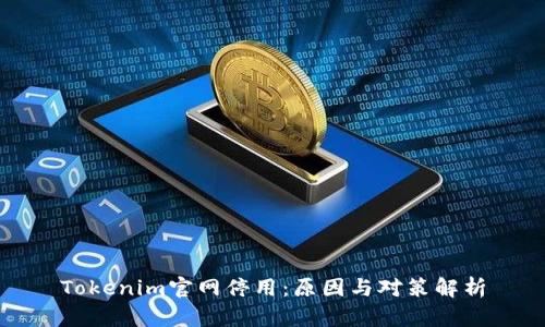 Tokenim官网停用：原因与对策解析
