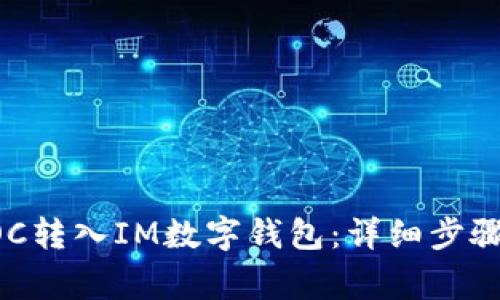 如何将SINOC转入IM数字钱包：详细步骤与注意事项