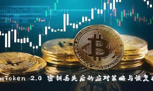 : imToken 2.0 密钥丢失后的应对策略与恢复指南
