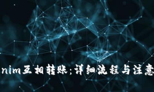 Tokenim互相转账：详细流程与注意事项