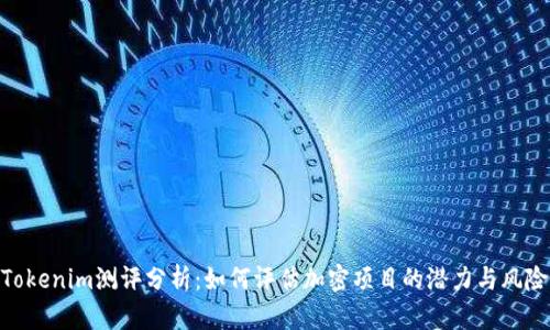 Tokenim测评分析：如何评估加密项目的潜力与风险