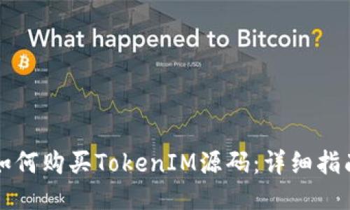 如何购买TokenIM源码：详细指南