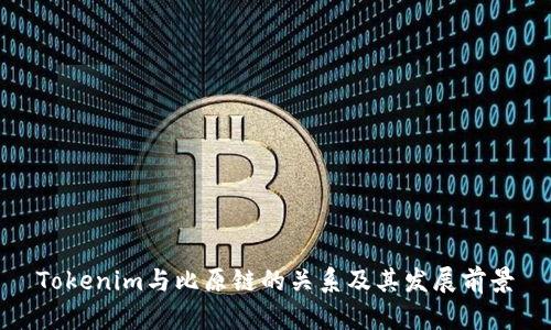 Tokenim与比原链的关系及其发展前景