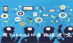 如何使用TokenIM查询进度：