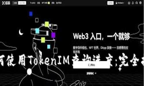如何使用TokenIM查询进度：完全指南